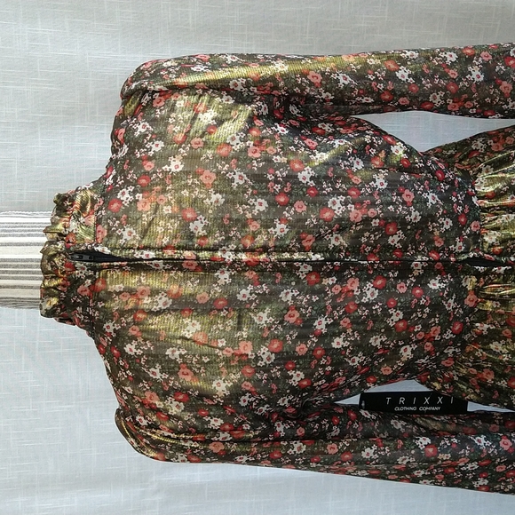 Metallic Chiffon Flowered Fit&Flare Long Sleeves Mini Dress Mock Neck Sz Medium - Picture 7 of 15